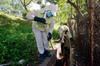 第二期滅蚊運動展開。防治蟲鼠人員清理溝渠，以防蚊子在積水中滋生